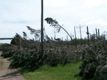 High Winds, Stormy&nbsp;Weather